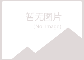 鹤岗南山雪青媒体有限公司